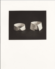 McDermott, David  and  McGough, Peter (B. 1952 and 1958); "The metallic plate: The art of photography, 1994"