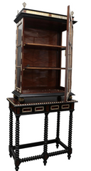 Display Cabinet Ebonised wood, Tort, and bone plaques early 20th Century