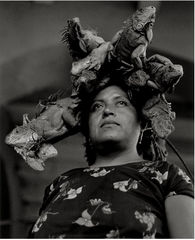 Iturbide, Graciela; "Mujer de las Iguanas"