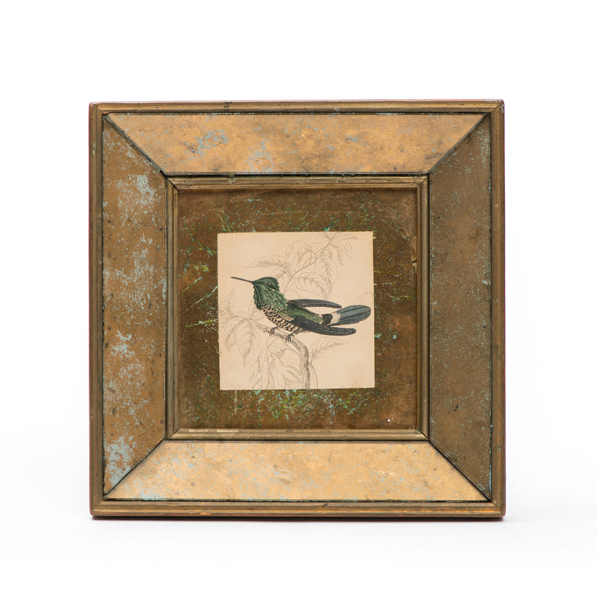 Bird Print in a Beautiful Reverse Gold Leaf Glass Frame