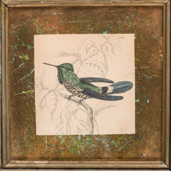 Bird Print in a Beautiful Reverse Gold Leaf Glass Frame