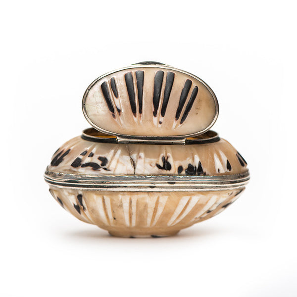 Sea Shell and Sterling Silver Snuff Box