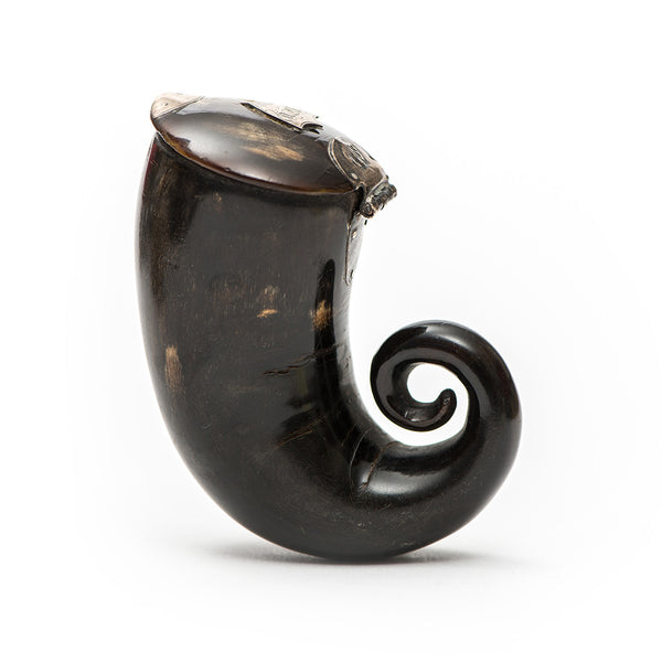 Silver Top Snuff Horn