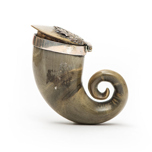 Silver Top Snuff Horn