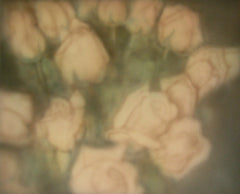 Kerlin, Sherry; "White Roses" 2002