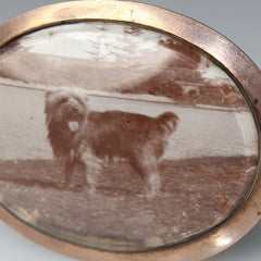 Dog's Hair Locket in a Brooch